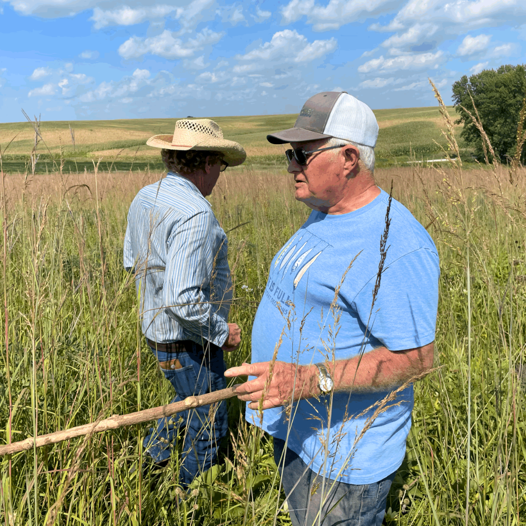 Building the Perfect Prairie