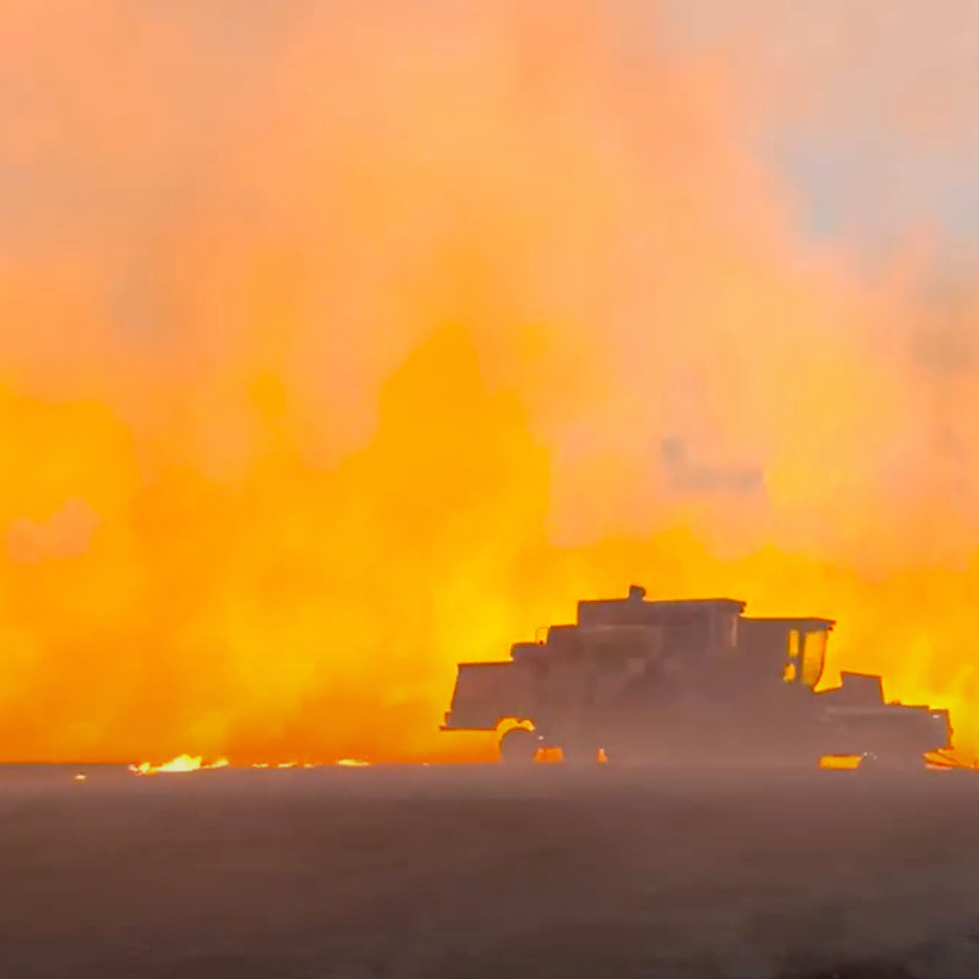 How to Burn Your Prairie Field