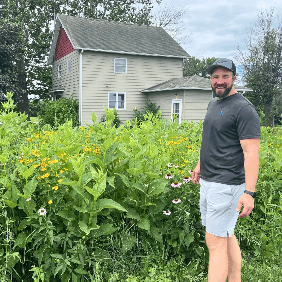 Why Lawns Are Becoming Obsolete