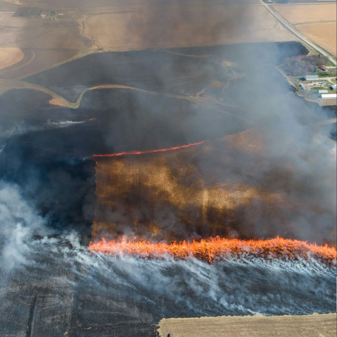 Safety Tips for Burning Native Prairie