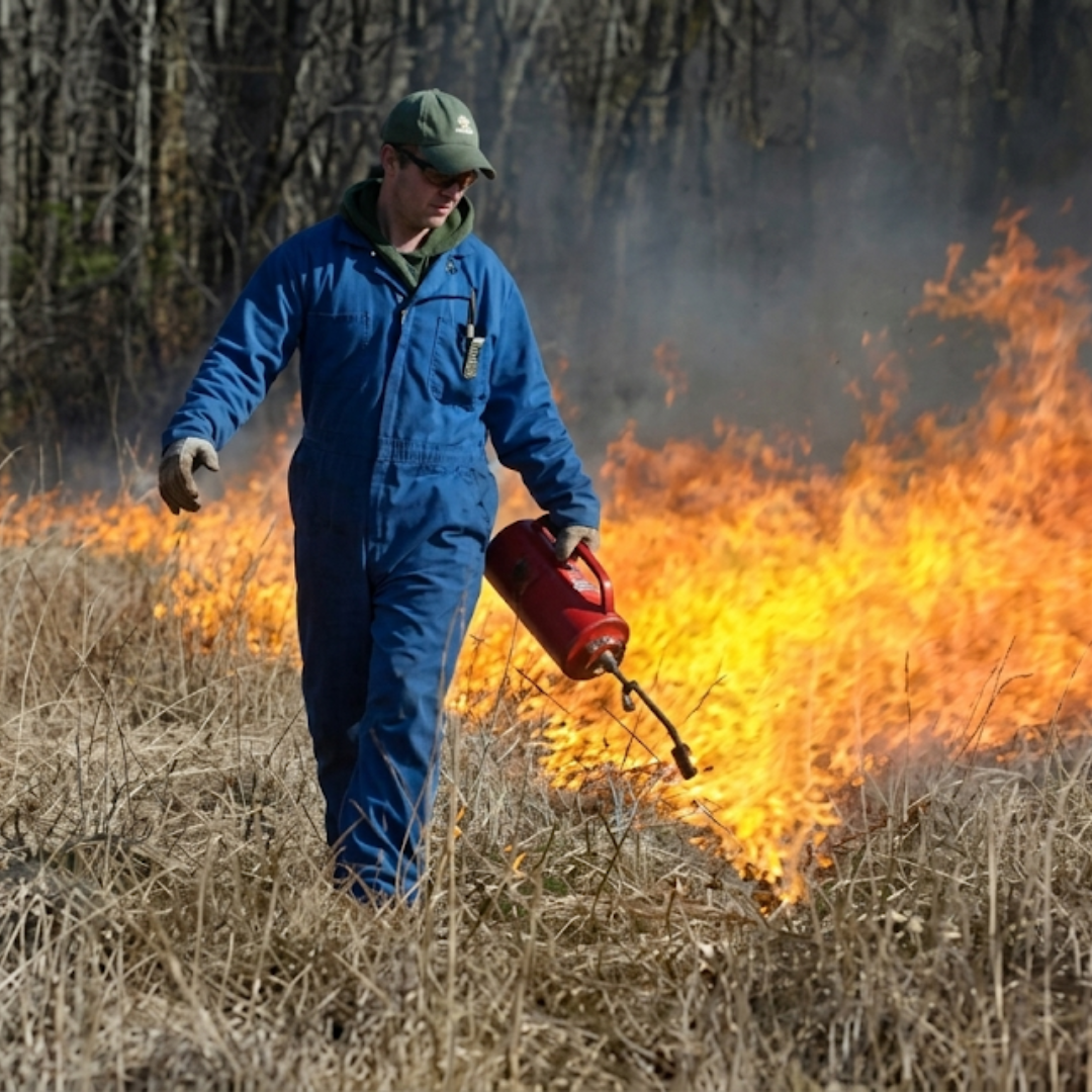 Ep. 254 Prairie Burns and the Future Generation of Conservation with Ryan Kurtz