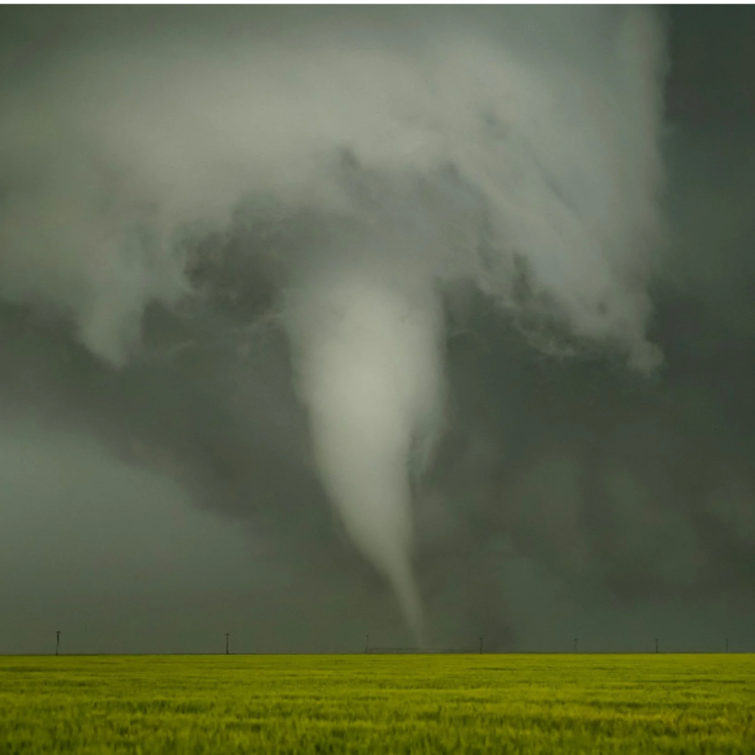 Ep. 237 (Coffee Time) Planting Natives in Ditches, Tornadoes, and Dust Storms