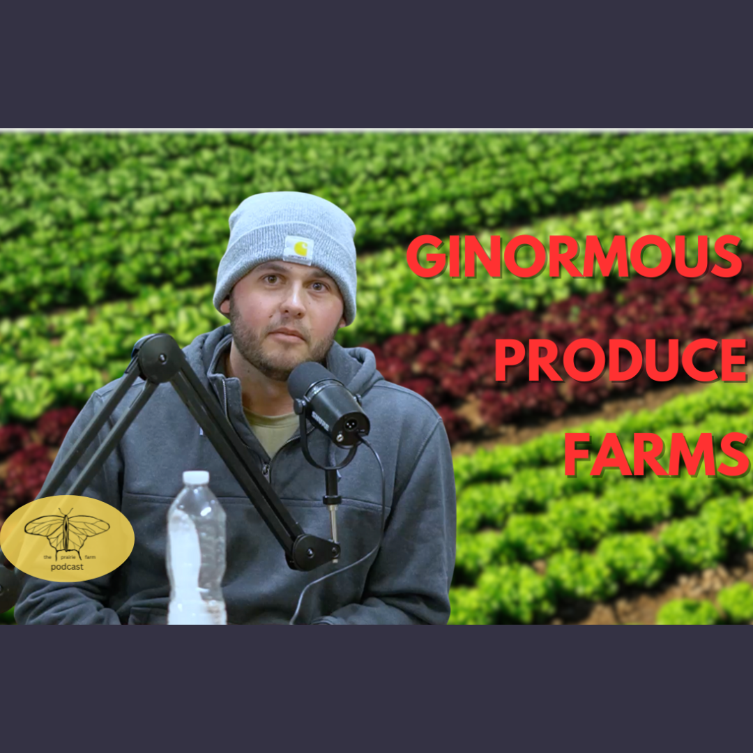 Ep. 330 Where Does Your Produce ACTUALLY Come From