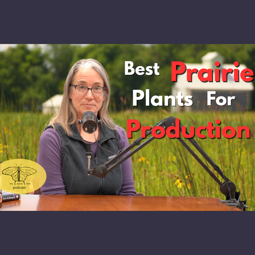 Ep. 332 Which Prairie Species to Grow If You Want to Start a Prairie Farm