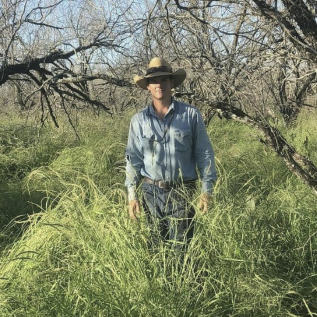 Ep. 242 How to Graze Your Cattle on Native Plants
