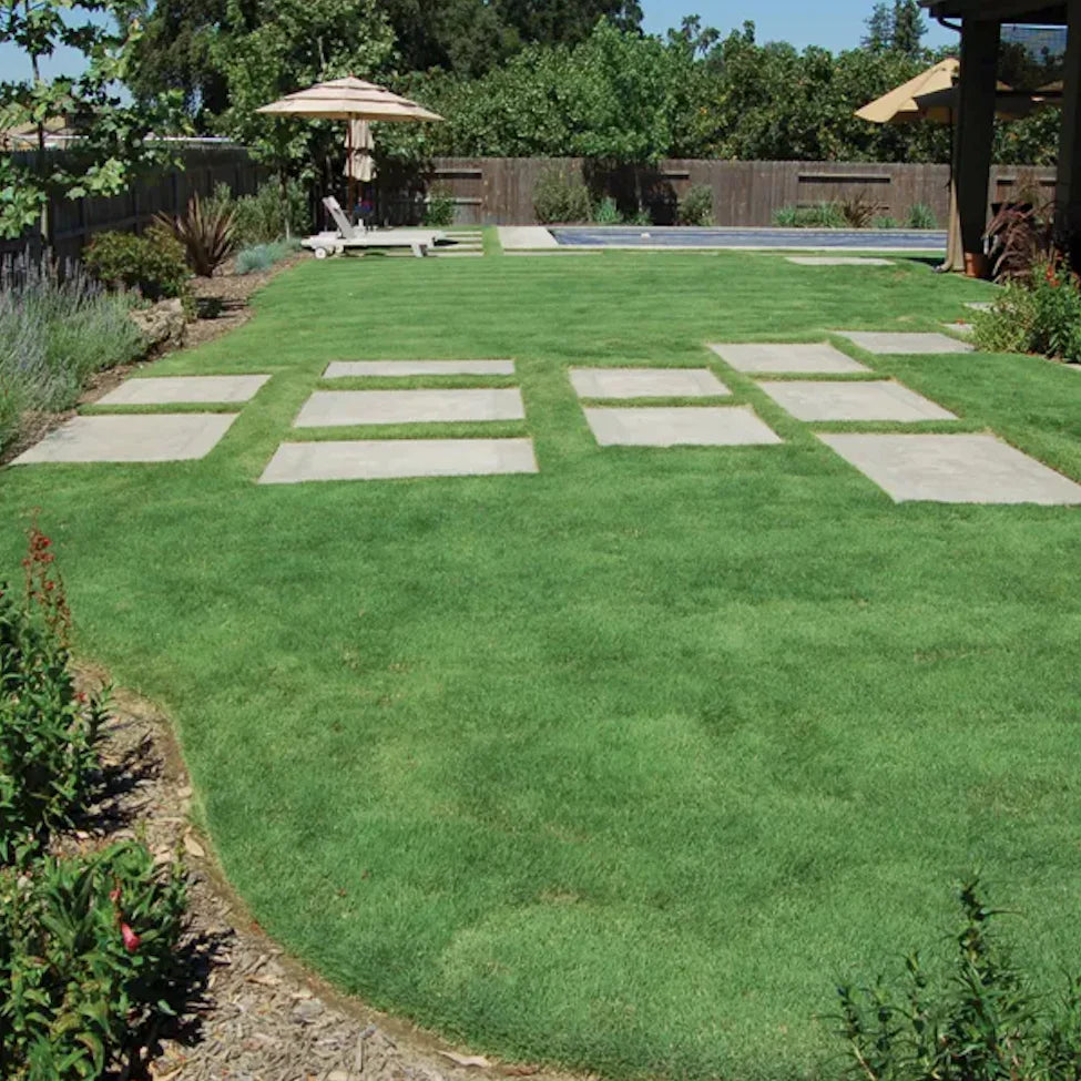 NATIVE GRASS LAWNS MIXES