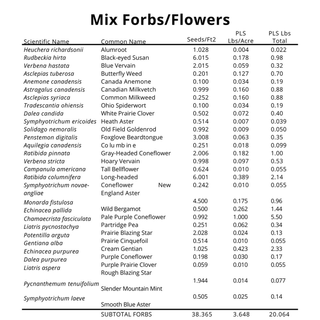 Short Backyard Pollinator