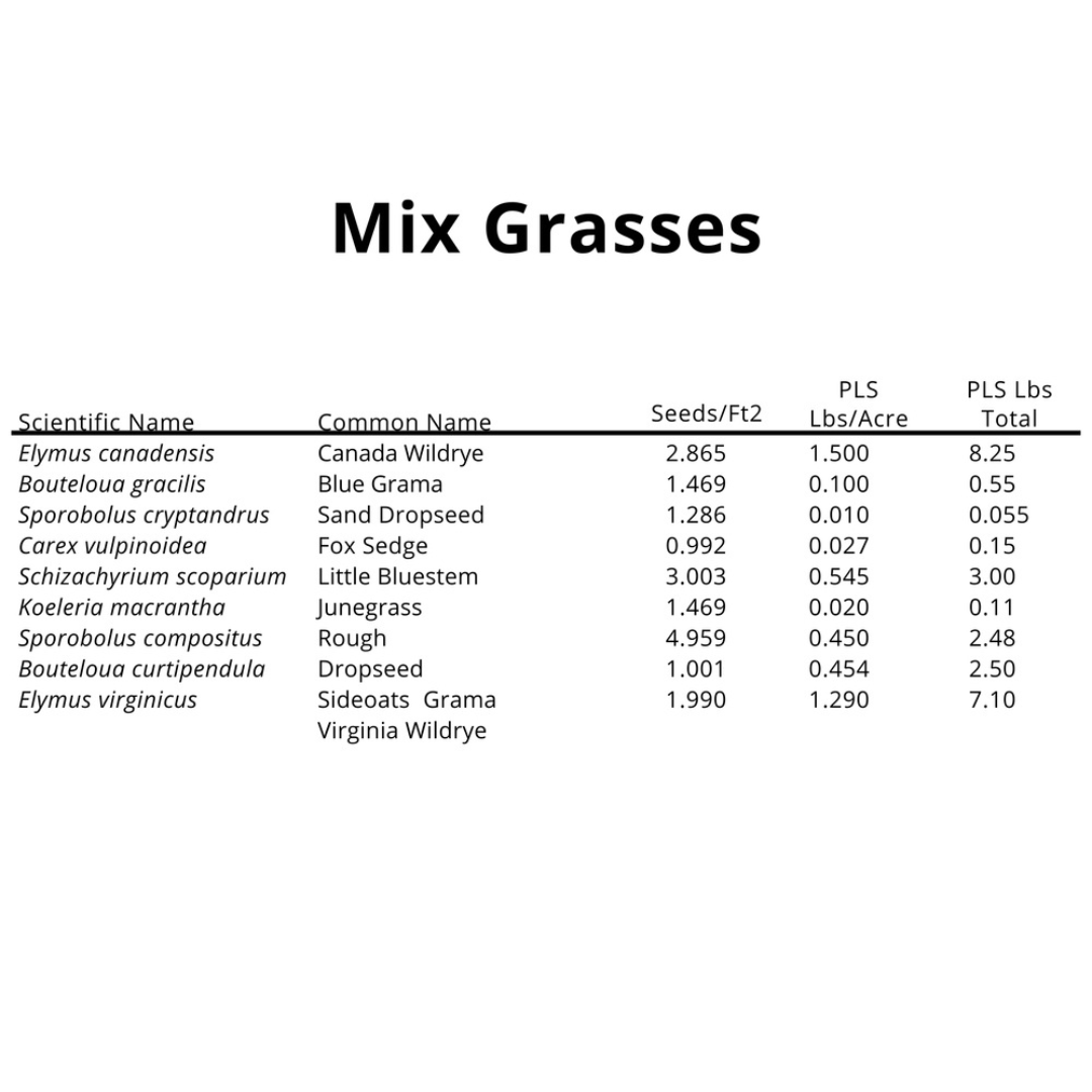 Short Backyard Pollinator