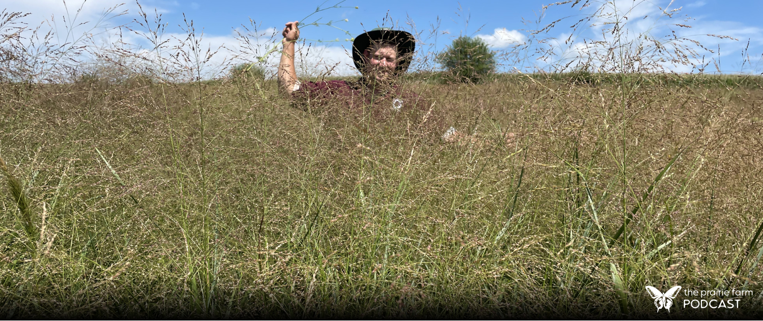 Hoksey Native Seeds