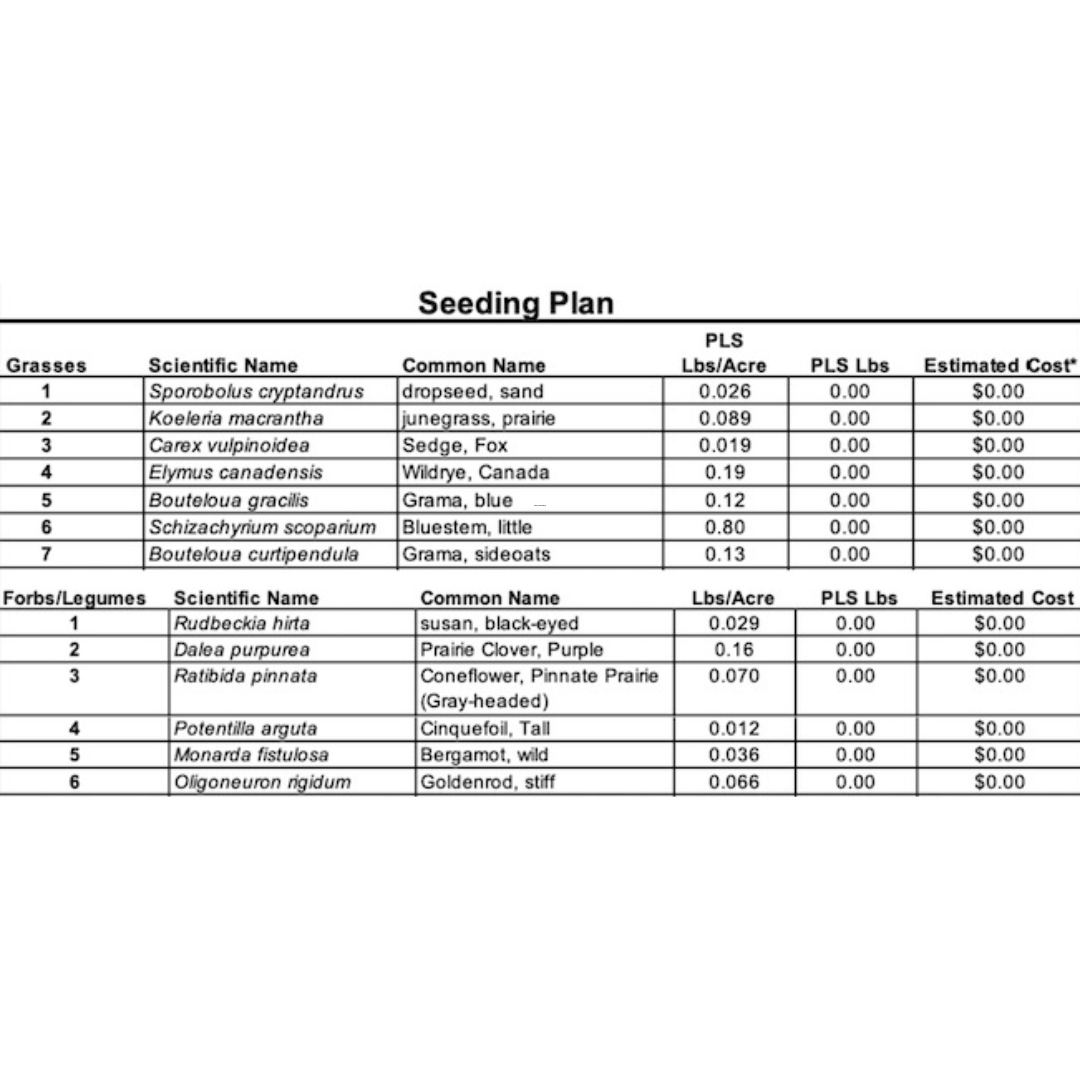 MN Monarch Pollinator