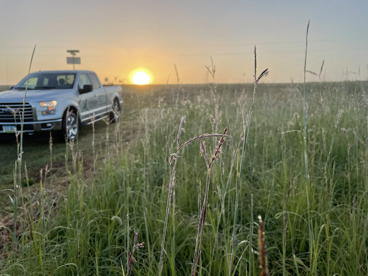 Native Pasture Highest Tonnage