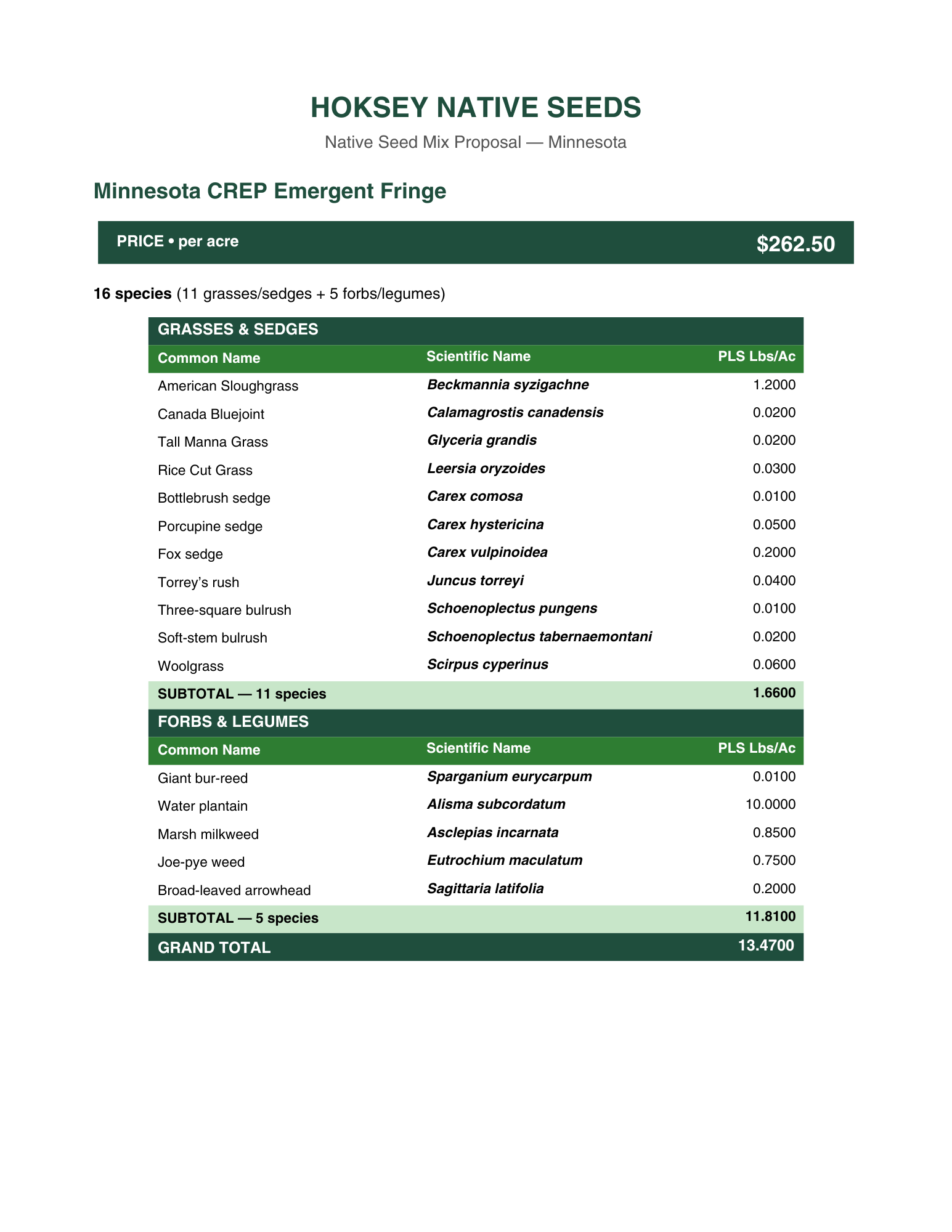 Minnesota CREP Emergent Fringe