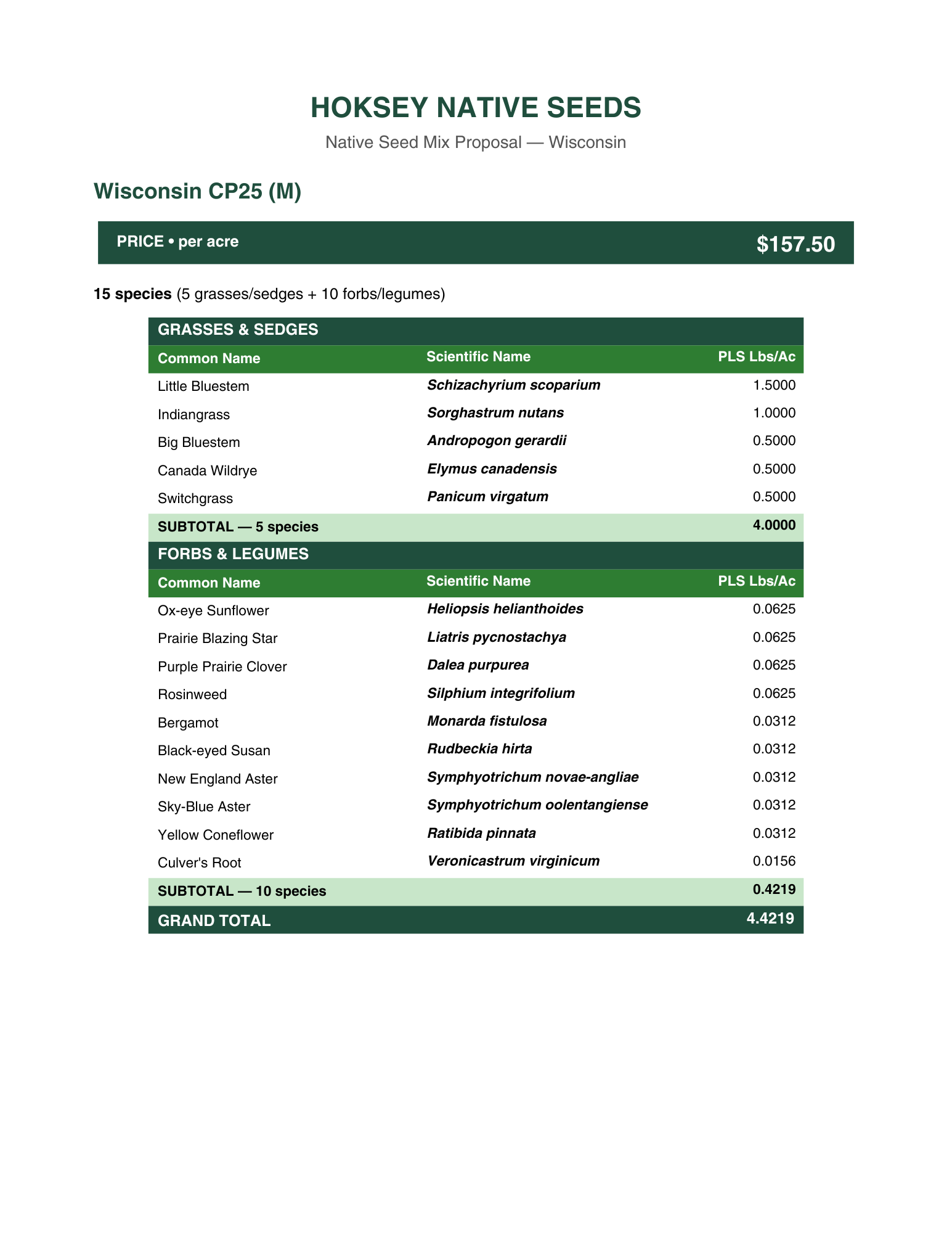 Wisconsin CP25 (M)